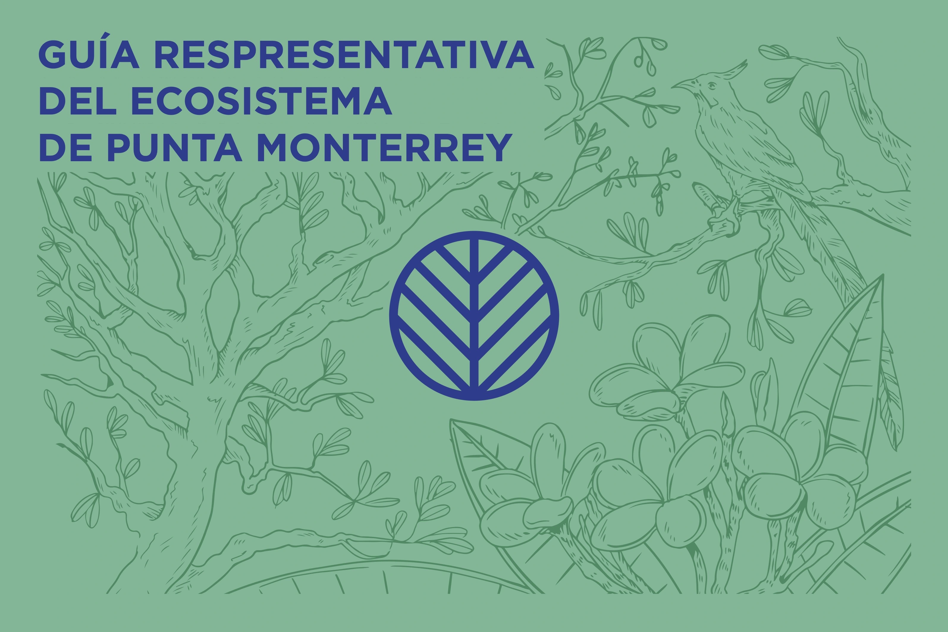 Guía del museo vivo de Punta Monterrey