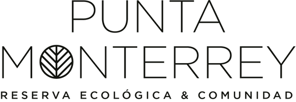 Logo de Punta Monterrey