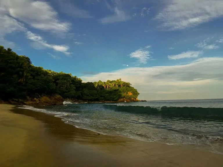 Beachside Bliss: Yoga and Nature Retreat