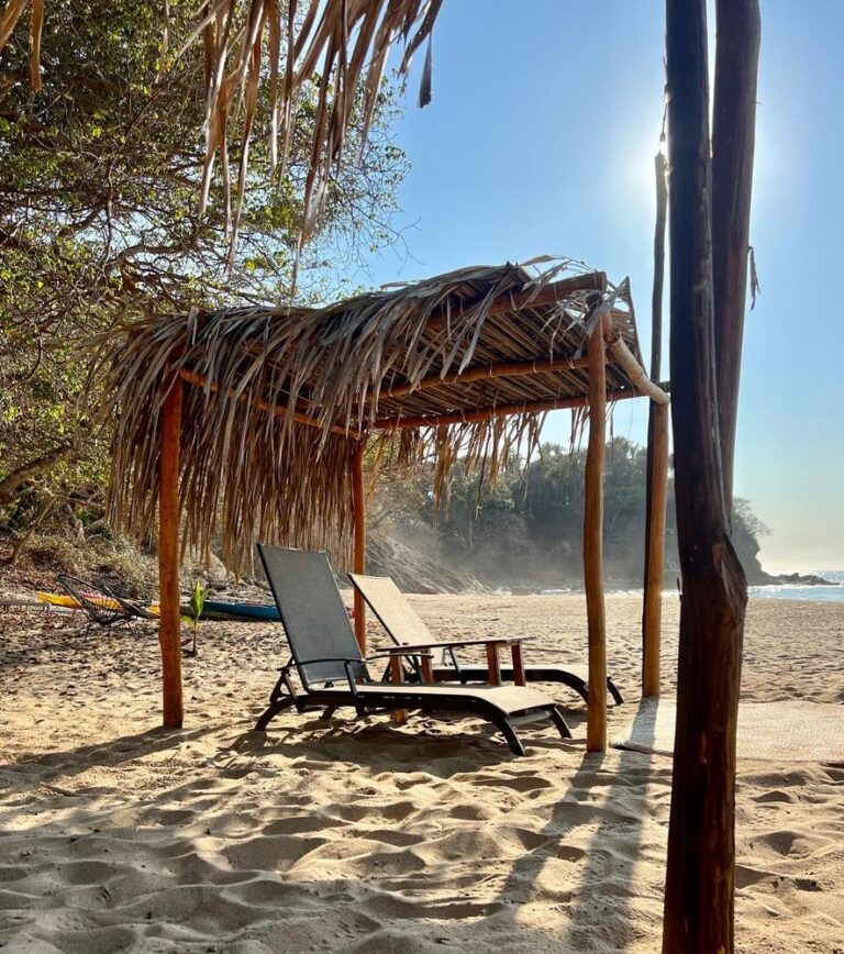 Embody Flow: Yoga and Nature Retreat